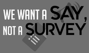 We want a say, not a survey