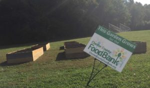 Middle School Academies look to continue with theme of sustainability