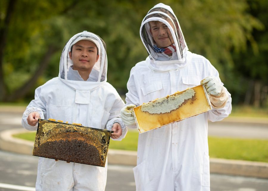 An Un-bee-lievable Grant for the Beekeeping Club