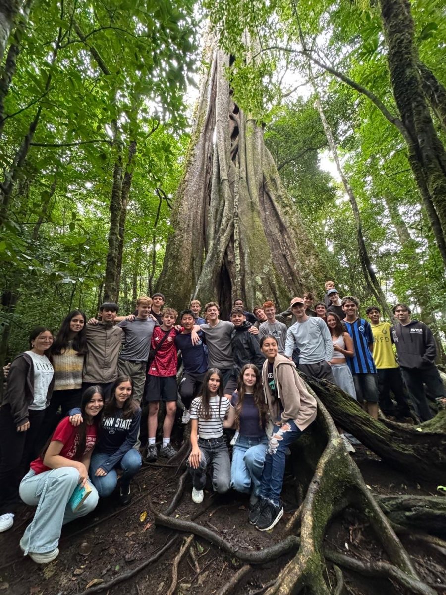 Building Bridges Through Bilingual STEM